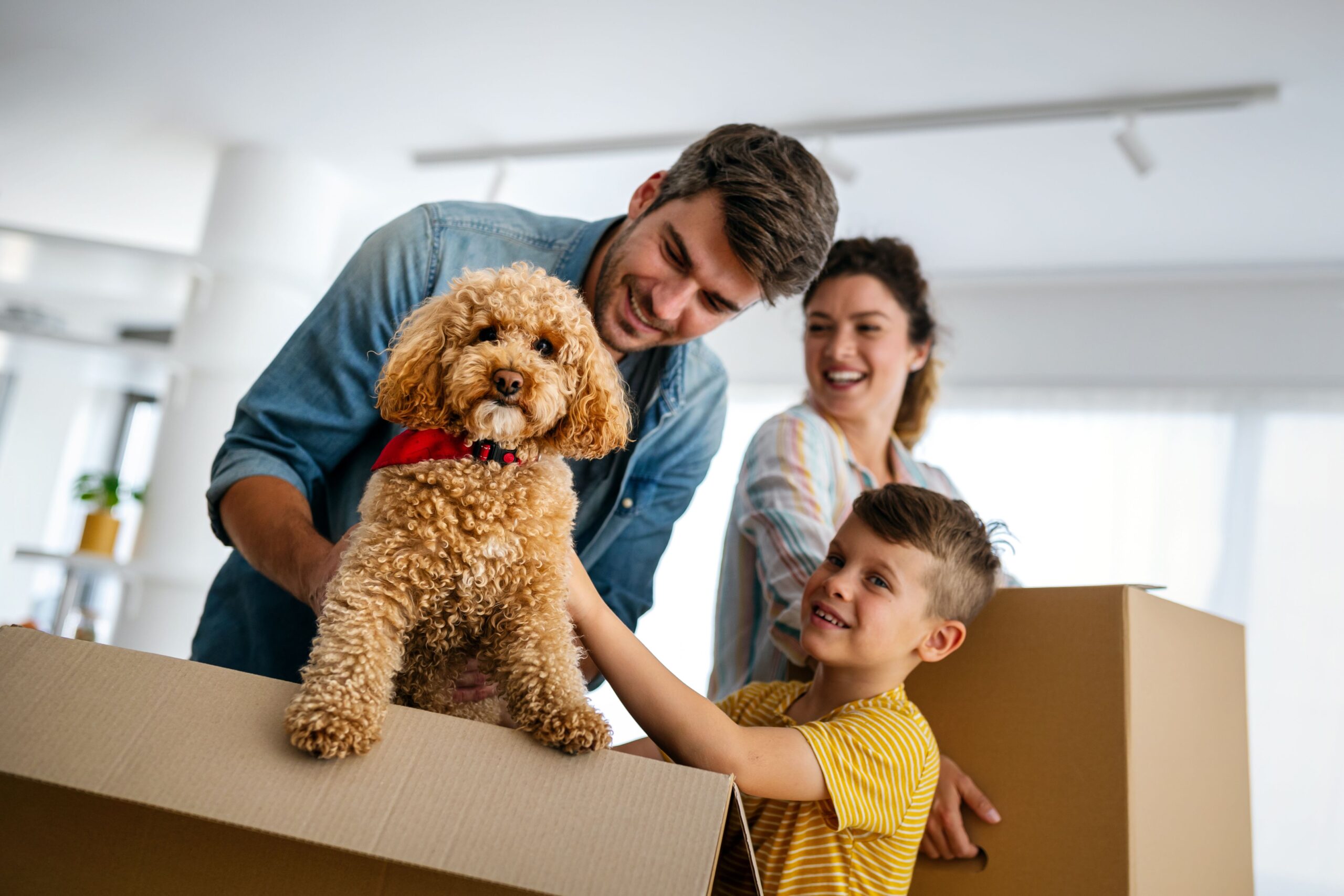 Happy family unpacking boxes in new home on moving day Happy family unpacking boxes in new home on moving day. People, real estate, new home concept